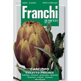 Franchi Artichoke Violetto