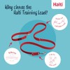 HALTI Training Lead (6'6") | Correa de instrucción para perros,