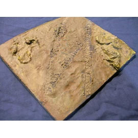 1/35 Scale ~ Country Diorama Base - size 200mm x 155mm