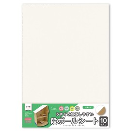Ehime Shikogo DSW-10P Craft Paper, Cardboard Sheet, White, Pack of 10