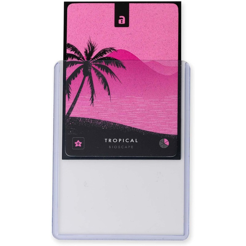 Vault X Toploaders 35pt (Pack de 25), Fundas Rígidas Transparentes