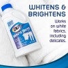 Out White Brite Laundry Whitener, 28 oz