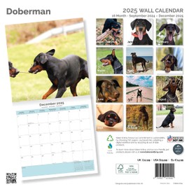 Baker and Bray Doberman Calendar 2025, Large Square Wall Calendar, 16 Month, Doberman Gift Dog Calendar.