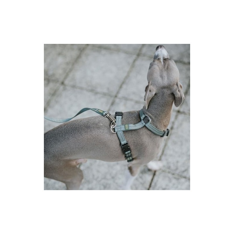 HUNTER Tripoli Dog Lead Orange Size 10/140