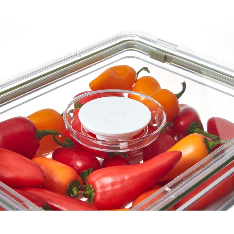 iDesign Large Fridge Produce Bin with Removable Drainage Tray and