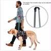 XTrador Dog Harness Walking Aid for Dogs Especially for Problems