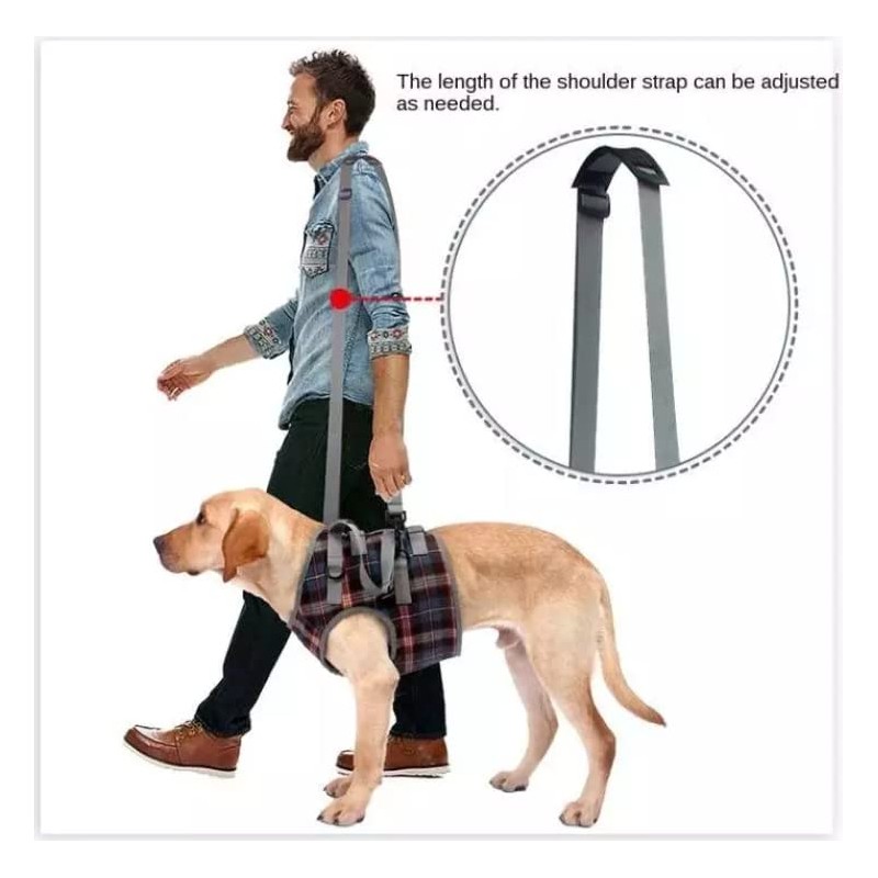 XTrador Dog Harness Walking Aid for Dogs Especially for Problems