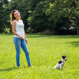 Correas de metal para perros grandes resistentes, correa de cadena para perros duraderos, resistentes a prueba de masticación, para perros pequeños, medianos y grandes, mango azul de 1.0 x 6 pies