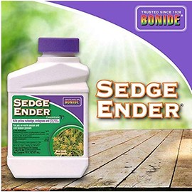 Sedge Ender Concentrate
