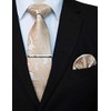 JEMYGINS Men's Stylish & Elegant Paisley Tie and Pocket Square