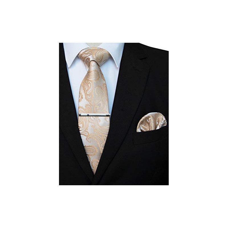 JEMYGINS Men's Stylish & Elegant Paisley Tie and Pocket Square