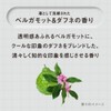 THE ANSWER Super Lamella Shampoo & EX Moist Treatment, For