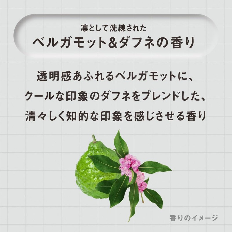 THE ANSWER Super Lamella Shampoo & EX Moist Treatment, For