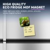 1 x Square MDF Fridge Magnet - Inquisitive Frog Wild