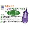 [Grilled Meowbun] Potassium Aluminum Sulfate (Dried) 3.5 oz (100 g)