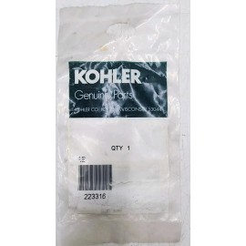 Kohler 223316 Fuse 10A 250V GM12310 GEN 4EF 5E 6EF 7.3E OEM/Genuine x 1 Fuse