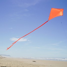 In the Breeze 3298 - Tangerine 30 Inch Diamond Kite - Solid Orange, Fun, Easy Flying Kite