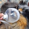 Pet Inhale Mask for Cats and Dogs, Pet O2 Mask