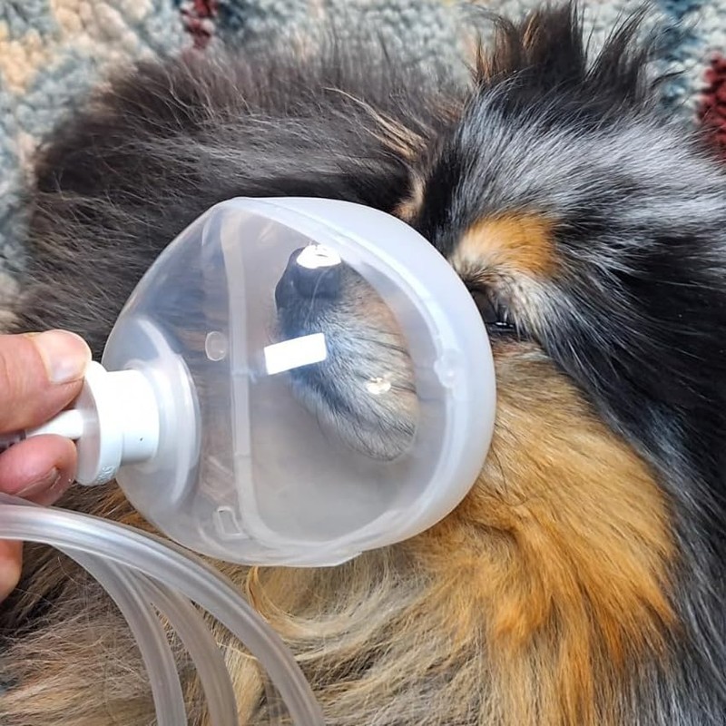Pet Inhale Mask for Cats and Dogs, Pet O2 Mask