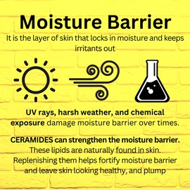 Dr.Jart+ Ceramidin Hand Cream, 3.38 fl.oz / 100ml