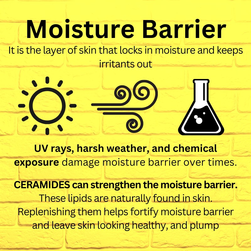 Dr.Jart+ Ceramidin Hand Cream, 3.38 fl.oz / 100ml