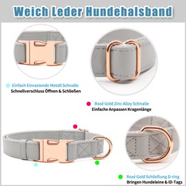 Soft Leather Dog Collar and Lead (2 m) Set - 3-Way Adjustable Dog Lead with Collar, Stylish Rose Gold Metal Buckle & Nylon Dog Lead for Puppies Small Medium Large Dogs Grey, L