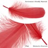 MWOOT 4 Styles Assorted Crafts Feathers (Red)