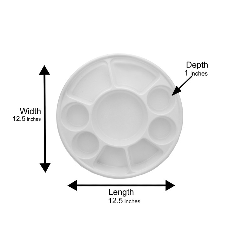 Pooja Bazar 9 Compartment White Disposable Party Thali Plates (White,