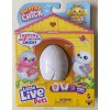 Little Live Pets Surprise Chick