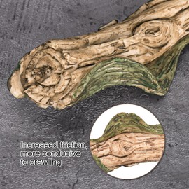 WTSOH Reptile Tank Habitat Accessory Reptile Forest Climbing Resin Branch Decoration Snake Climbing Branch Accessory for Snake Frog Chameleon Bearded Dragon (Brown, NS-146)
