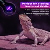 LUCKY HERP Reptile Heat Lamp 50W 2 Pack, Reptile Night