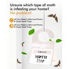 Pantry Moth Traps - Extra Strength Hanging Clothes Clothing Moth