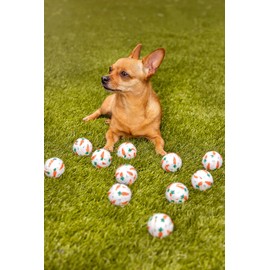Midlee Mini Easter Carrot Dog Tennis Balls