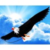 UP N UP The 3D Eagle Kite with 6'- 6" (78 Inch) Wing Span Premium Material w/ FREE gift