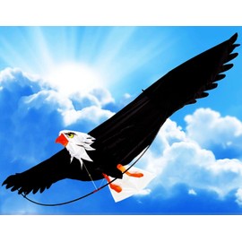 UP N UP The 3D Eagle Kite with 6'- 6" (78 Inch) Wing Span Premium Material w/ FREE gift