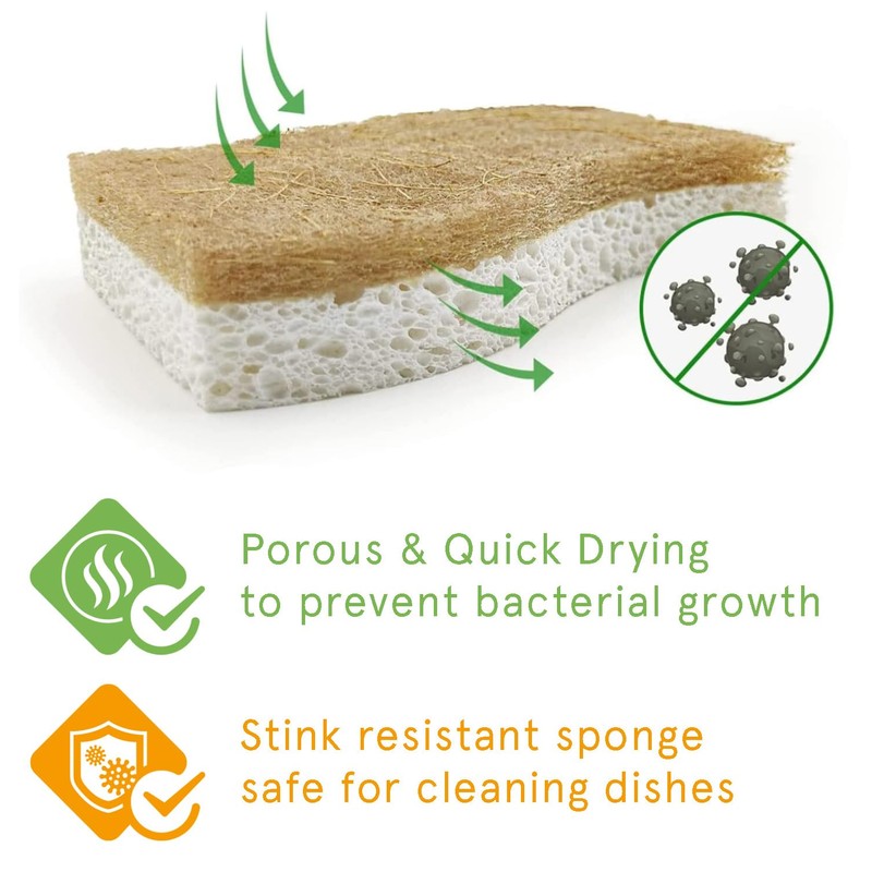 Kandid Eco-Friendly Biodegradable Sponge Set Of 12 Sponges | Coconut