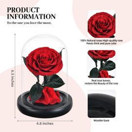 Rose Flower Gifts for Women,Mothers Day Flowers Gifts for Mom Wife from Daughter Son Husband,Birthday Gifts for Women Best Friend Her Girlfriend,Glass Rose Grandma Mom Gifts for Mothers Day (Red)