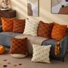 Fall Pillow Covers 18x18 Set of 2 Fall Decorations Autumn