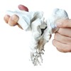 OWLIAN Ankle Skeleton Model, Ankle Freely Movable, Supervised by X-ray