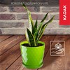 Kadax Decorative Flower Pot, for Flowers and Plants, with bottom