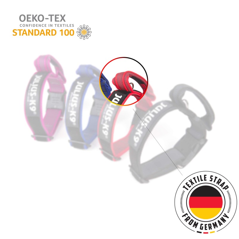 Julius-K9 Colour and Gray Collar with Handle, Safety Lock and