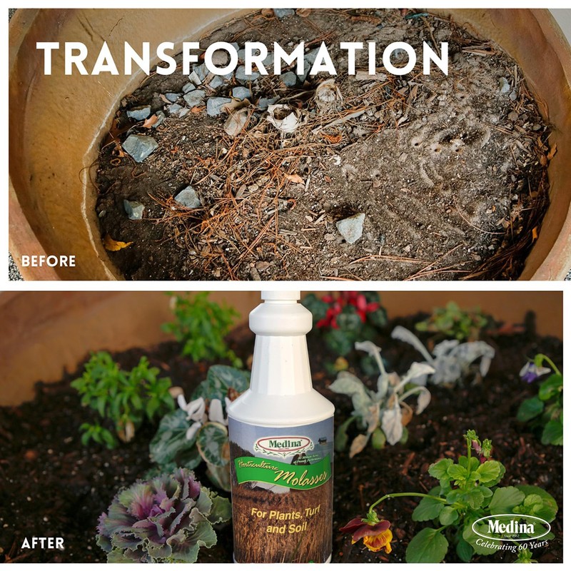 Medina Horticultural Molasses - Nutrient-Rich Plant Juice & Molasses Gallon
