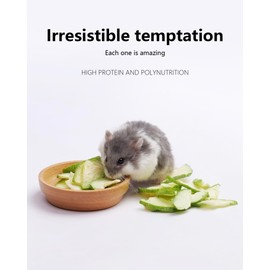 Niteangel Hamster Snack & Treats Toy - Small Animal Natural Treat for Dwarf Syrian Robo Hamsters Gerbils Mice Lemmings Degus or Other Small-Sized Pets (Freeze-dried Zucchini)