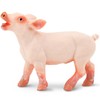 Safari Ltd. Playful Piglet Figurine - Lifelike 2" Model Figure