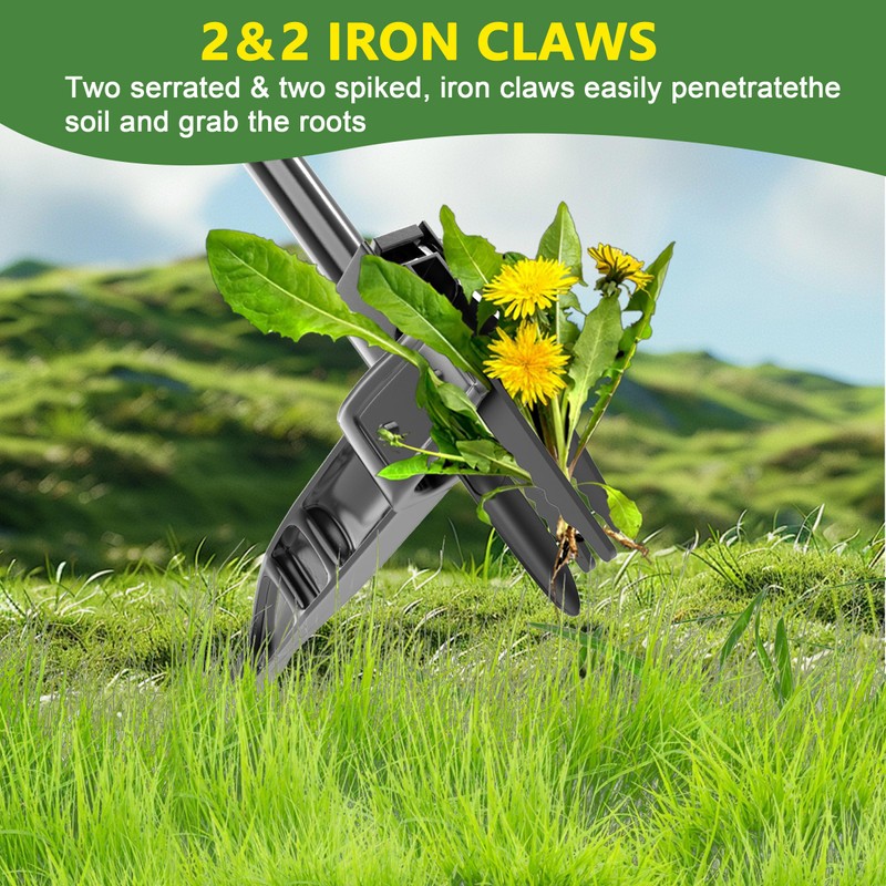 ZHENHAN Weed Puller Tool,43" Iron Stand-Up - No Bend Push-Pull