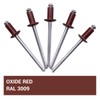 Pack of 100 Painted Blind Rivets 3.2 x 8 mm,
