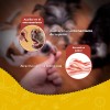 Yummy Bites Pollo/tocino 80 Gr Fancy Pets