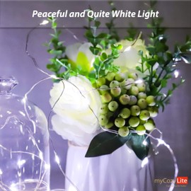 myCozyLite Kupferdraht LED Lichterkette, 50er Klares Wei? Micro LED Licht, Batteriebetrieben, mit Mehreren Modi, fr Innen und Au?en