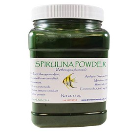 Brine Shrimp Direct Spirulina Powder, 16 oz