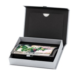 Rössler 14573200171 Photo Box with Mount for 13 x 18 cm Pictures, Stone, 203 x 45 x 147 mm, Pack of 1